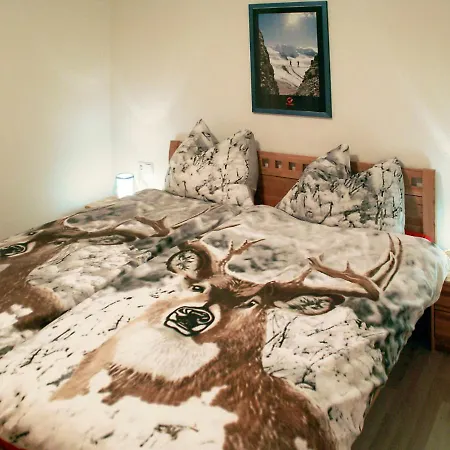 公寓 By Interhome 拉姆绍达赫斯坦